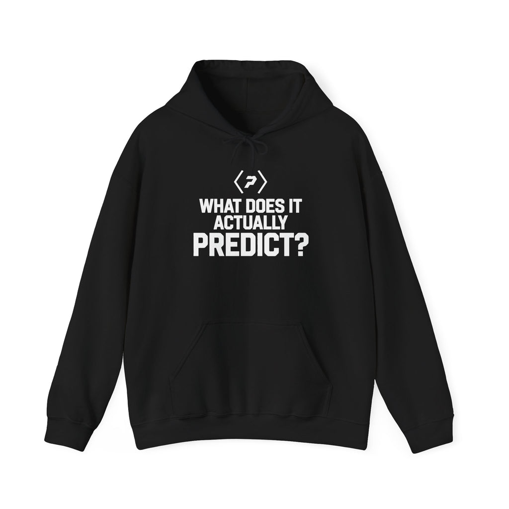 Front of the black PREDICTABLE What Does It Actually Predict Hoodie showing the chest graphic.