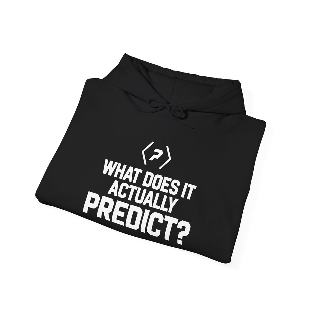 Folded black PREDICTABLE What Does It Actually Predict Hoodie showing the front graphic.