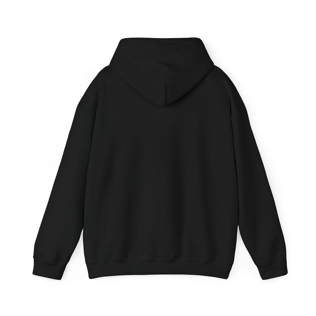 Plain back of the black PREDICTABLE 68 Percent Probability Hoodie with the hood down.